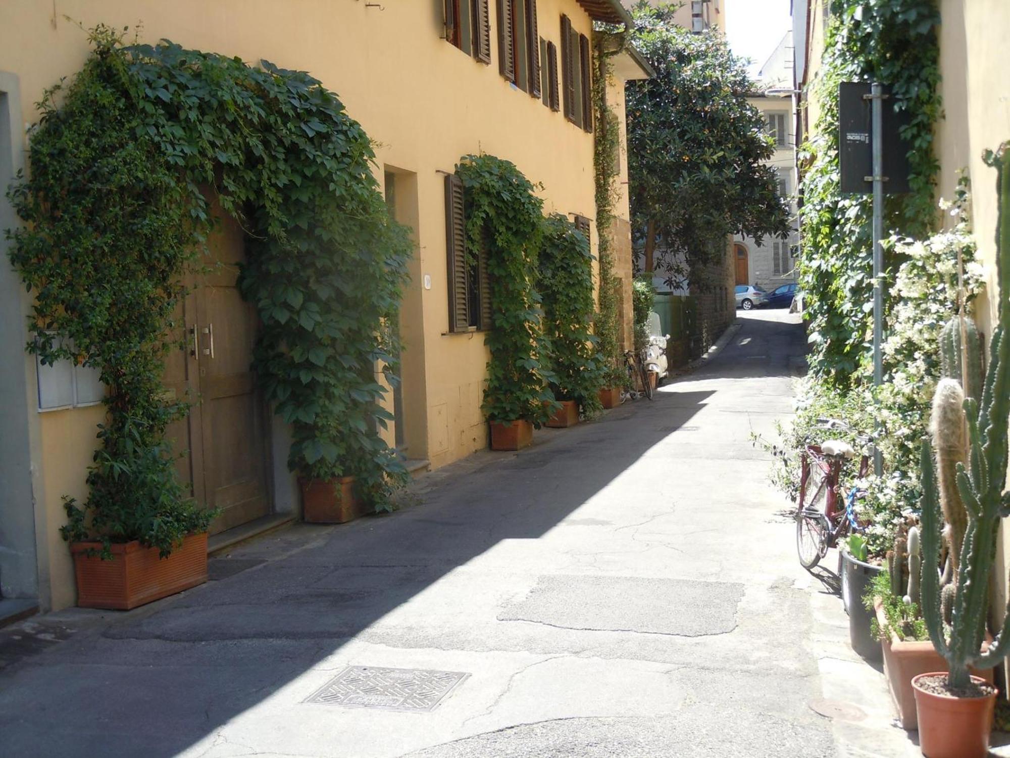 La Casa Di Emilia Apartment Firenze Bagian luar foto